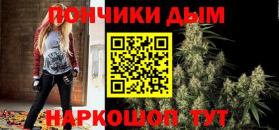 индика Гусь-Хрустальный