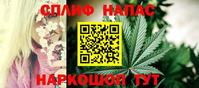 индика Гусь-Хрустальный