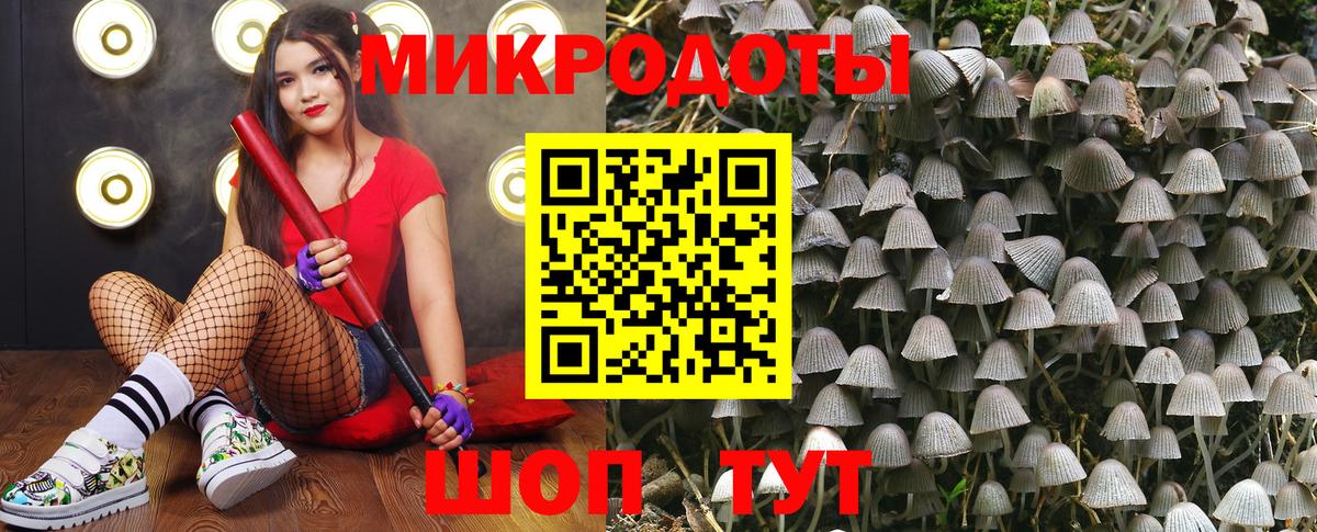 Галлюциногенные грибы мухоморы Москва