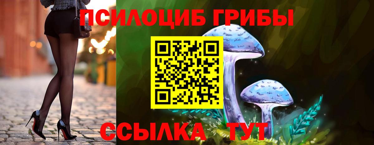 Москва  Псилоцибиновые грибы мухоморы  Вход с VPN 